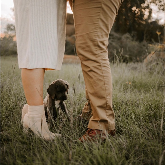 Meet your Posher, Rachael. - Picture 3 of 4